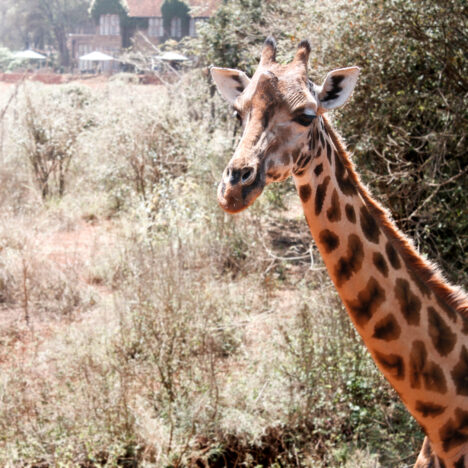 A Day Along the Blyde River Canyon – Panorama Route