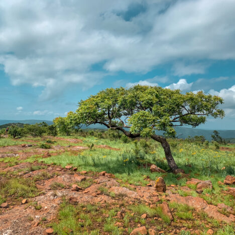 Two Days on the Highlands Trail, Kogelberg Reserve, South Africa